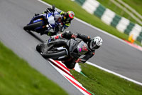 Advanced Group Black Bikes